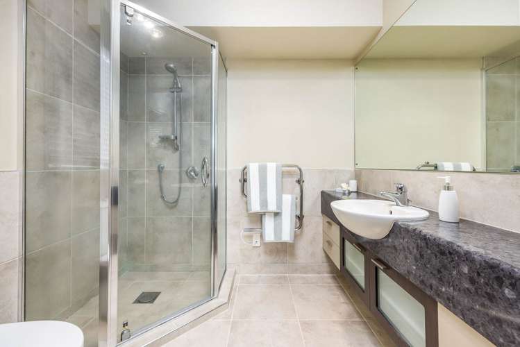 2 Elwyn Close Flat Bush_20