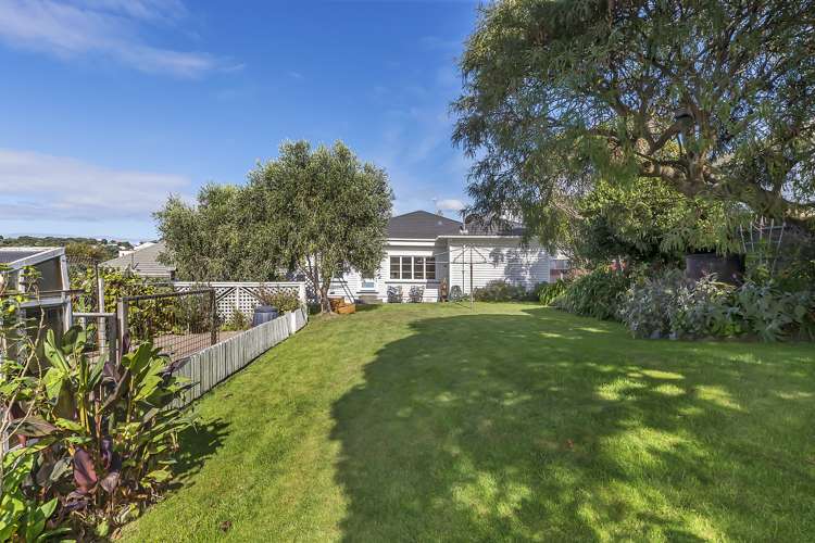 16 Manuka Street Miramar_22