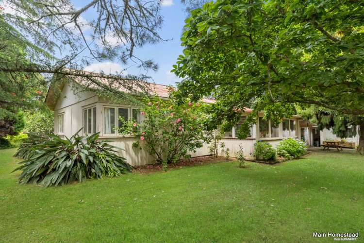 240 Jericho Road Pukekohe East_7