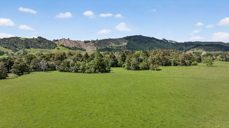 54 Edgerley Road Kaipara Flats_6