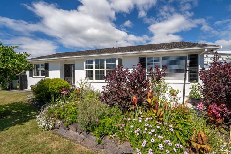 7 Norwich Street Stoke_18