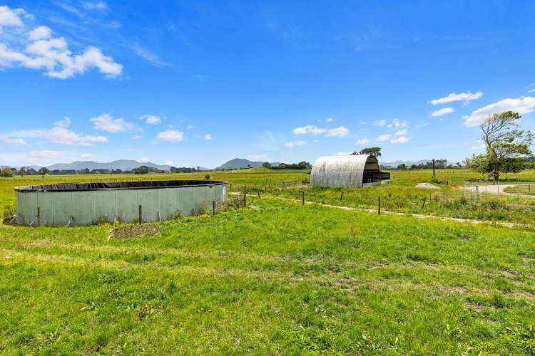 1779 Gordonton Road Taupiri_11