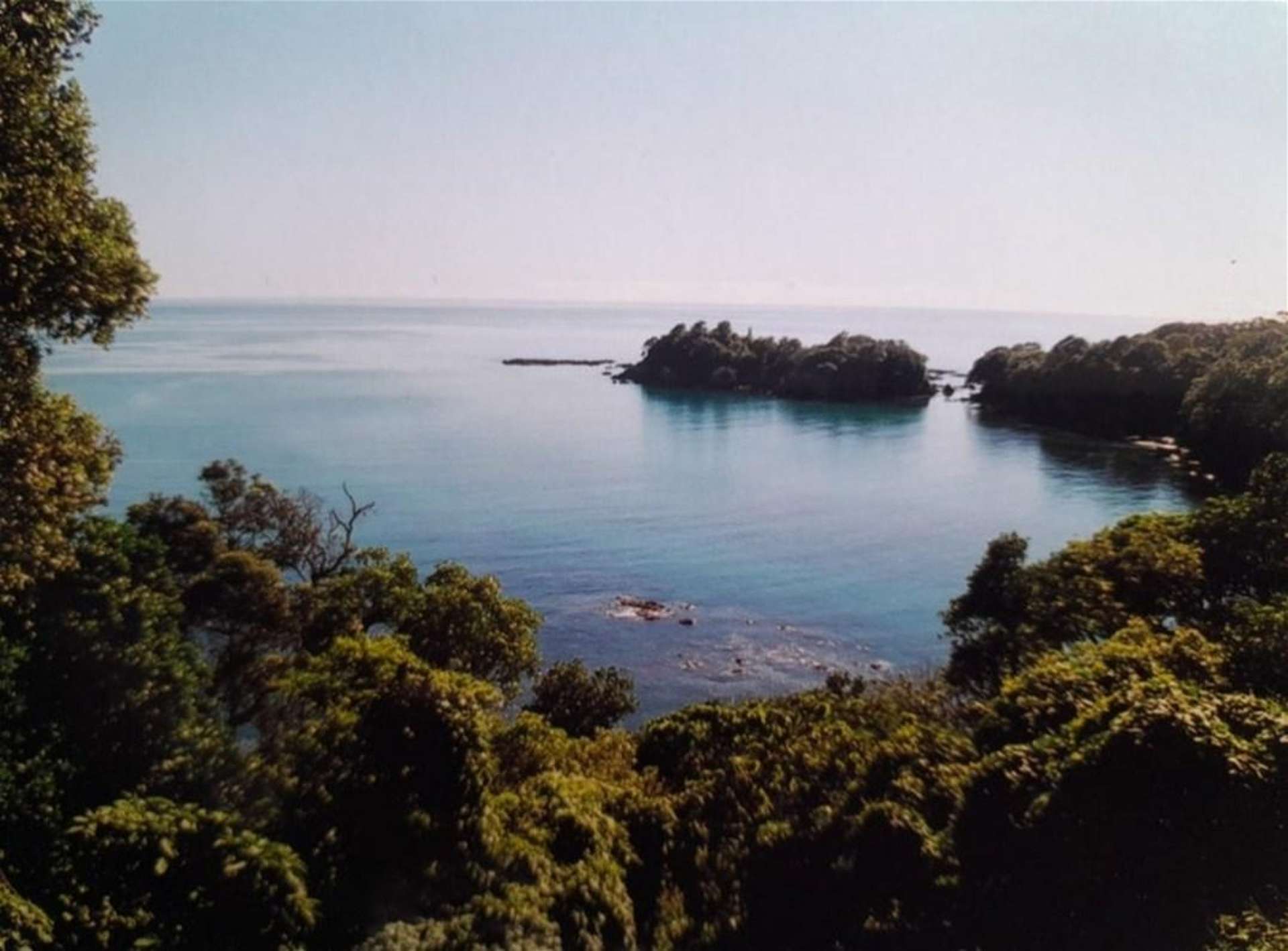 28/8361 State highway 35 Waihau Bay_0