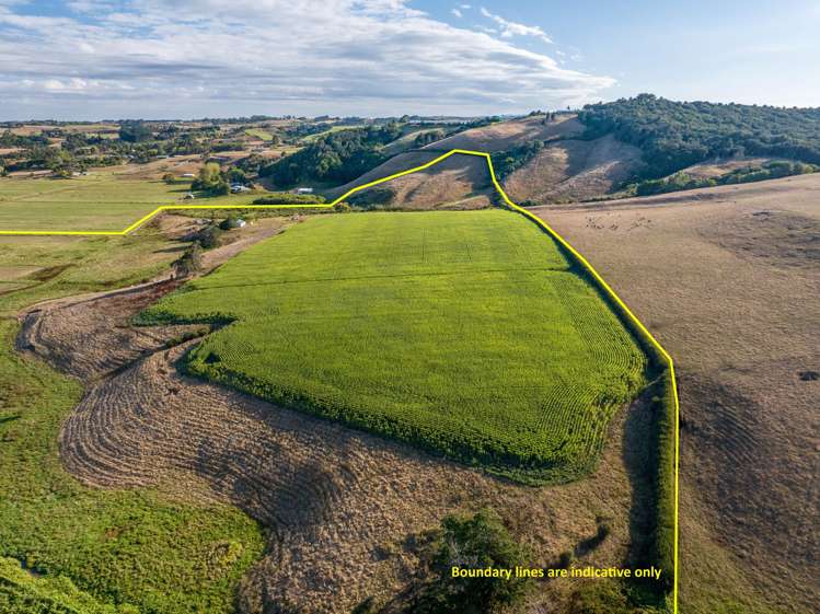 229 Wily Road Puni_10