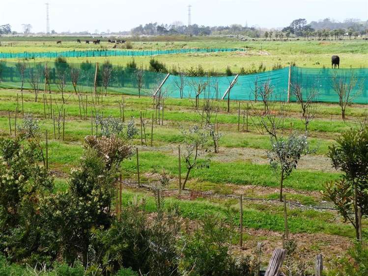 165a State Highway 1 Awanui_5