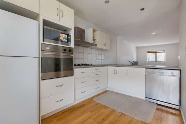 266e Manukau Road Epsom_4