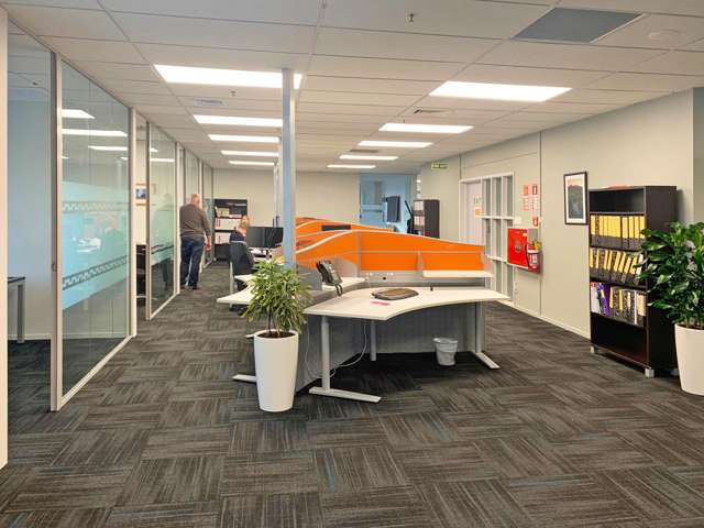 54 Gill Street New Plymouth_4