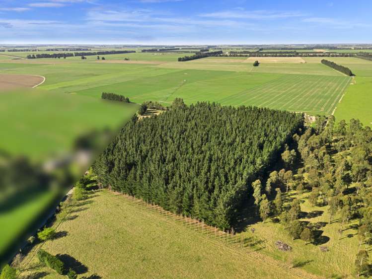 157 Karanga Road Dunsandel_16