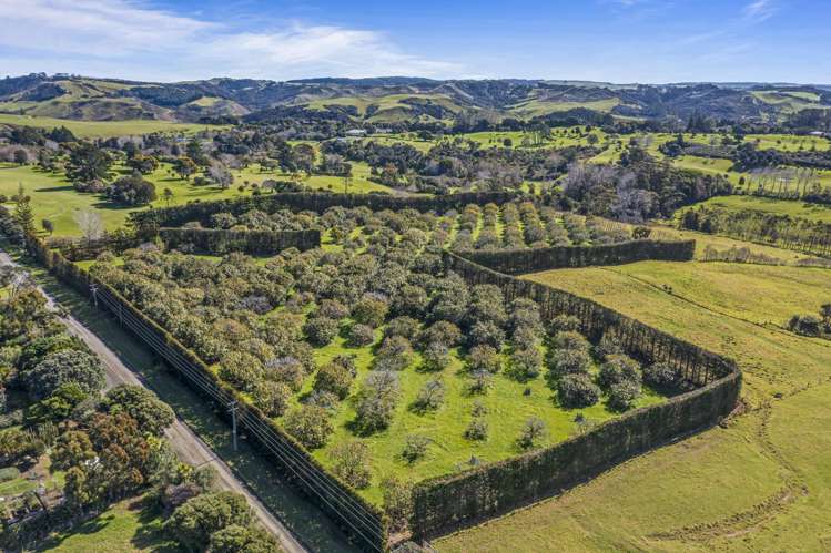 105 Mairetahi Road South Head_34