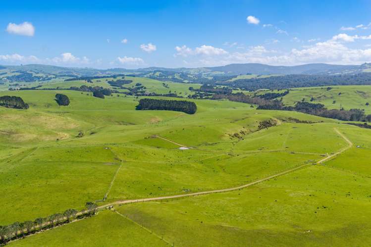 3902 State Highway 12 Dargaville_18