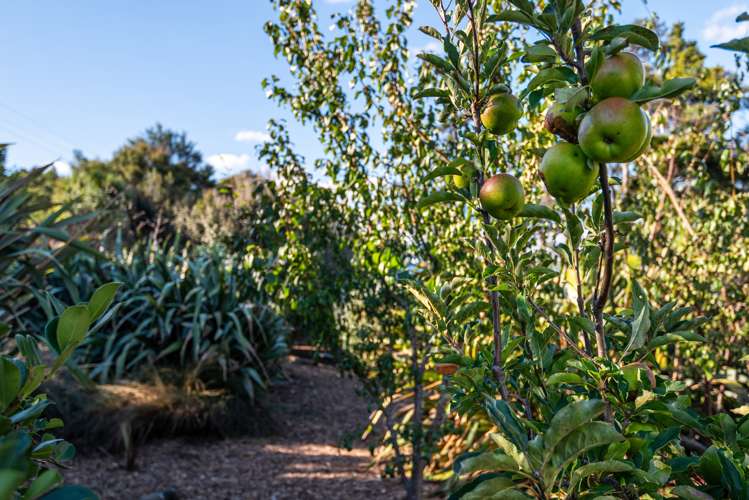 59 Downer Access Road Kaukapakapa_46