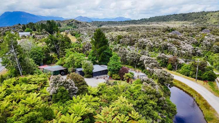 94 Dillmanstown Kumara_2