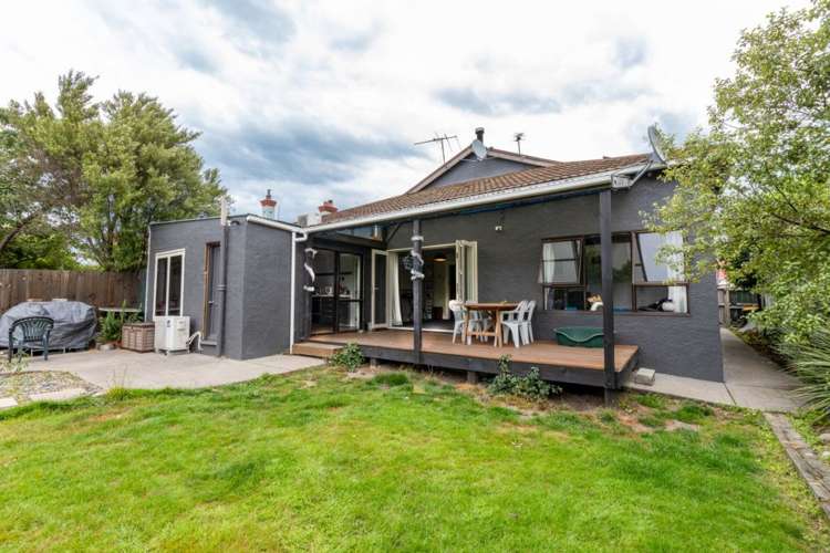 103 Hargest Crescent Saint Clair_8