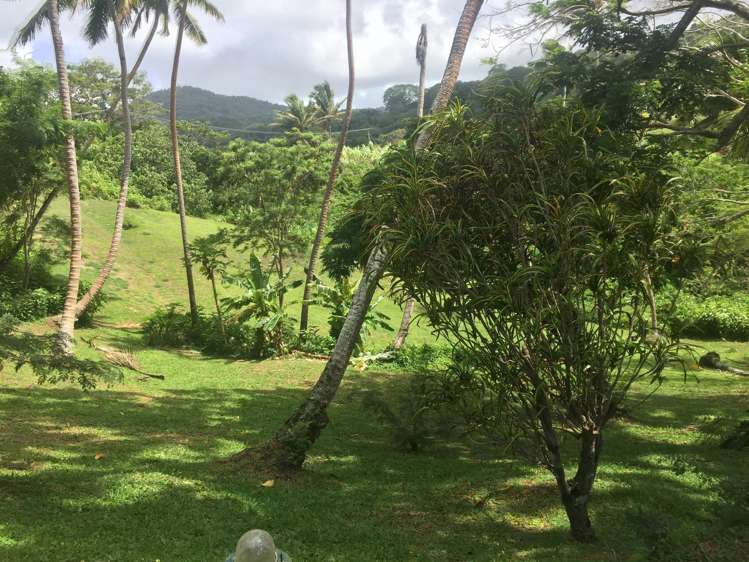 Lot 9 Raintree Estate, Oneva, Savusavu Vanua Levu_12