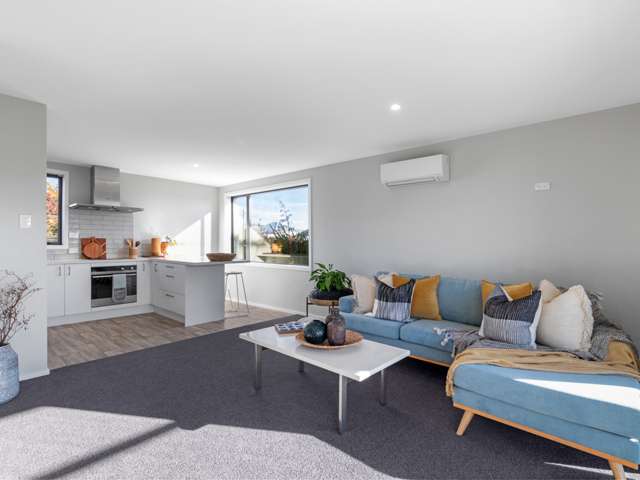 1a Hale Street Blenheim Central_2