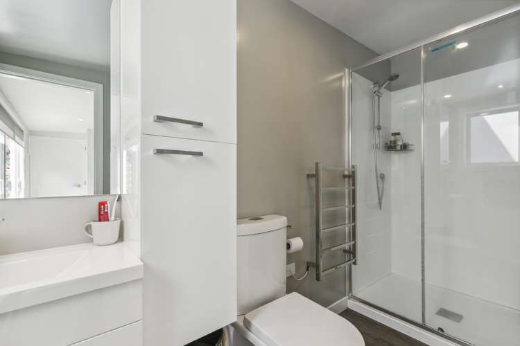 4 Glendavar Street Berhampore_18