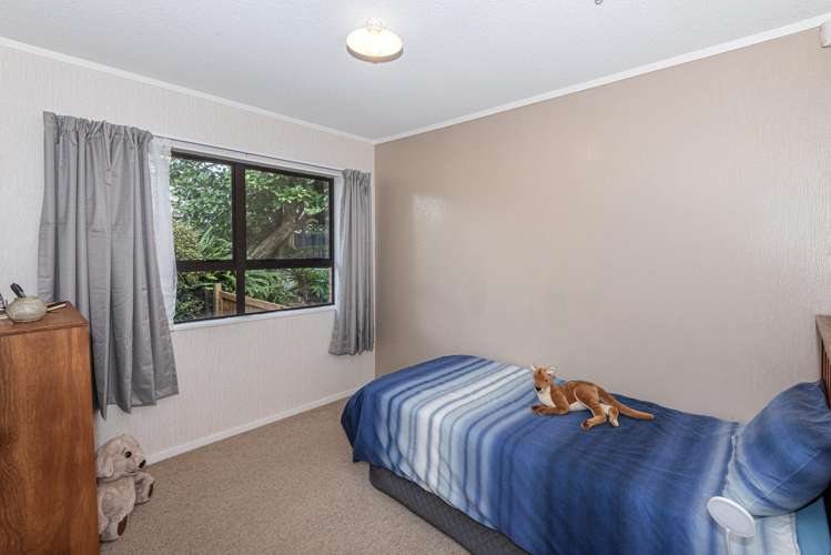 3 Magnolia Avenue Te Kamo_12