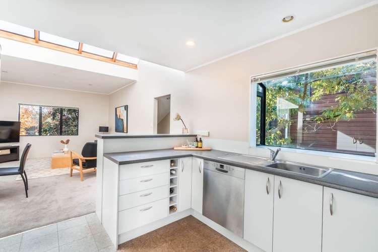 2b Cradock Street Avondale_6