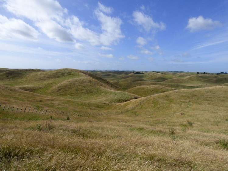 729 Midland Road Bunnythorpe_12