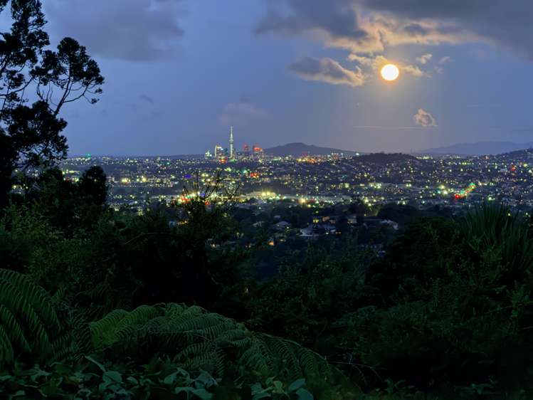 58 Kohu Road Titirangi_30