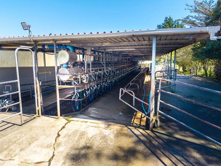 100 Inglis Road Pahiatua_9