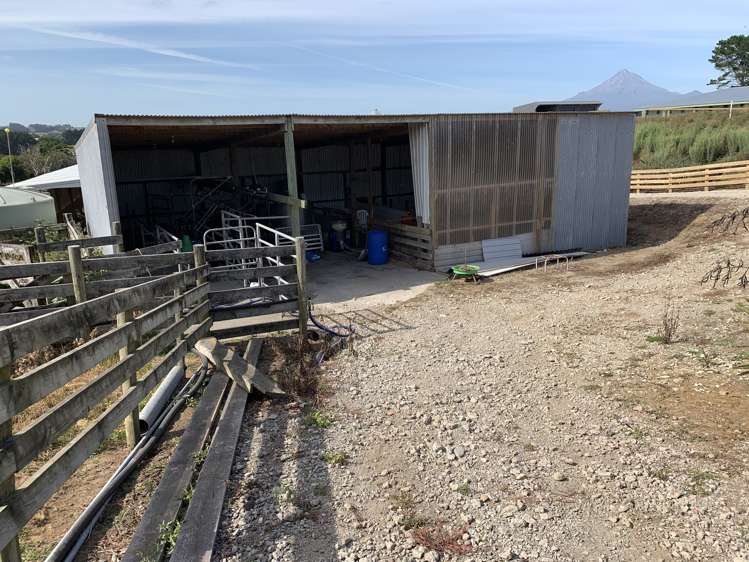 354 Paraite Road Paraite_5