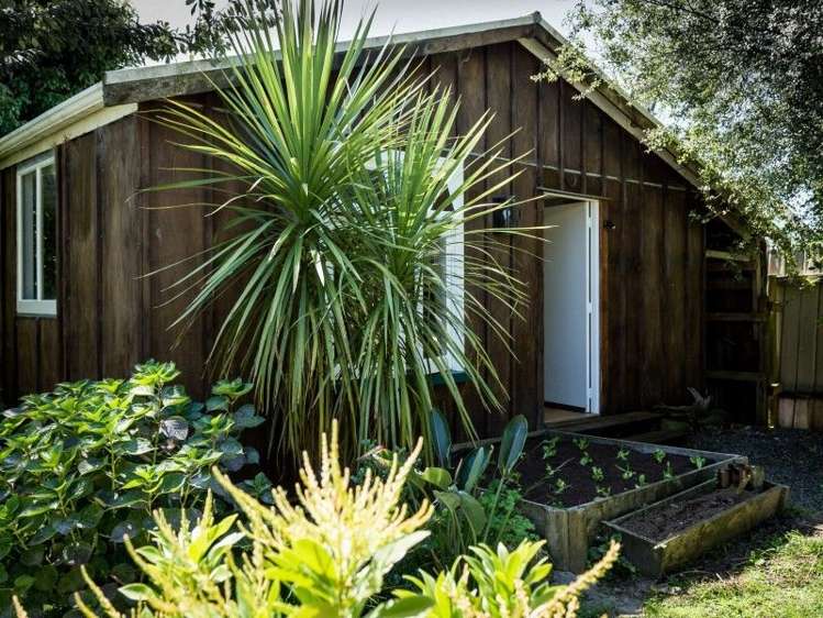 49 Barry Road Waihi_3