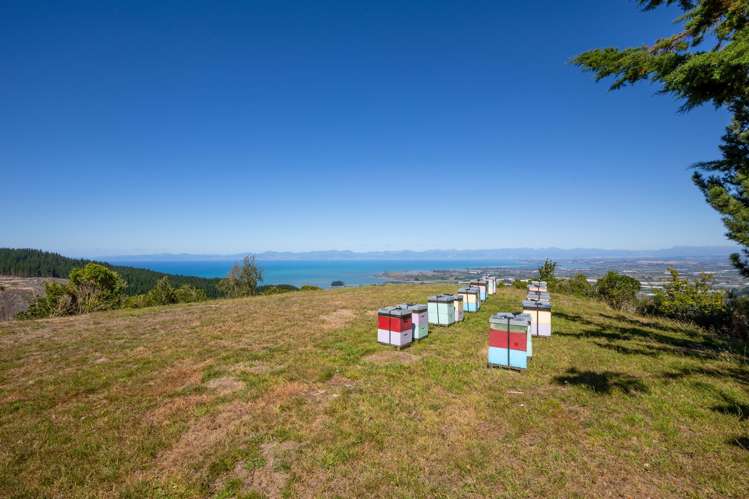 - Riwaka-Sandy Bay Road Riwaka_12