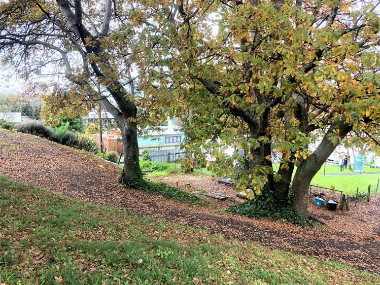 6 Church Street Waipawa_17