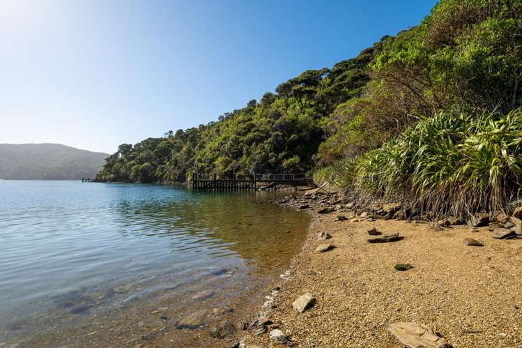 3178 Blackwood Bay Marlborough Sounds_59