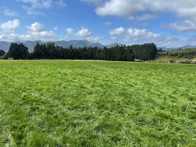 1405 Mangleton Road Central Hawkes Bay Country_5