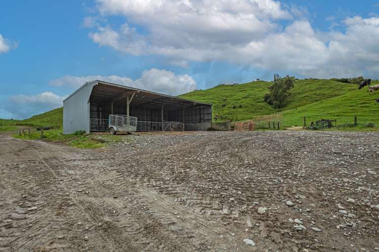 250 North Road Eketahuna_13