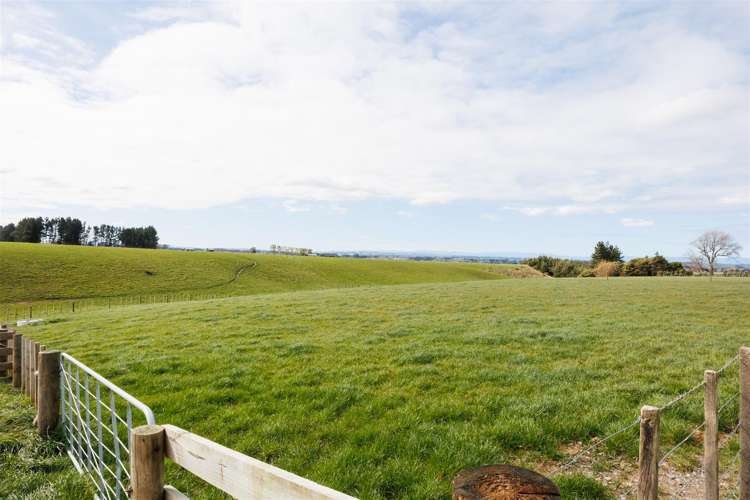 73 Brightwell Road Bulls_2