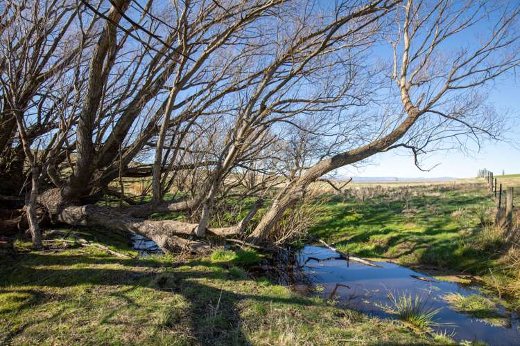 Nelsen Ridge Road Waikerikeri_6