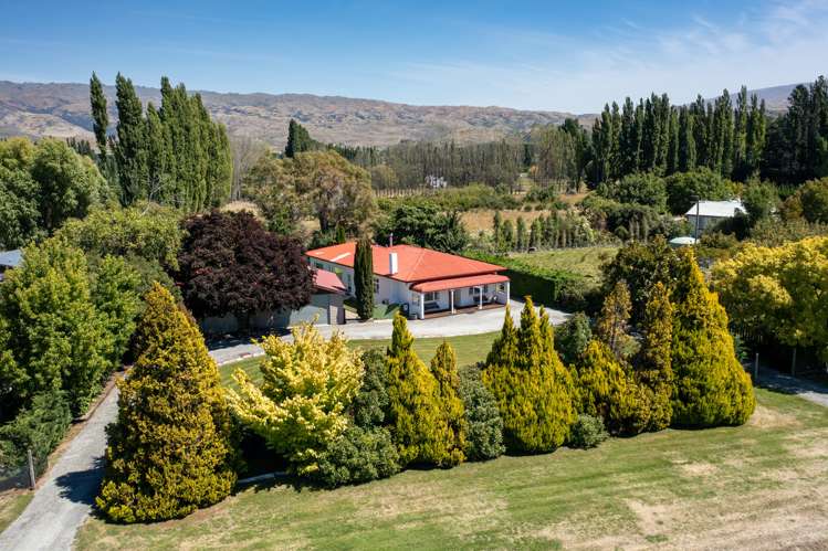 496 Earnscleugh Road Alexandra_16