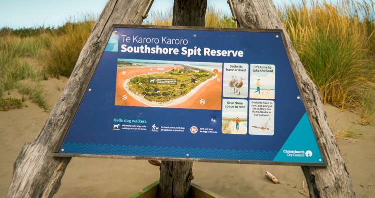 205 Rocking Horse Road Southshore_24