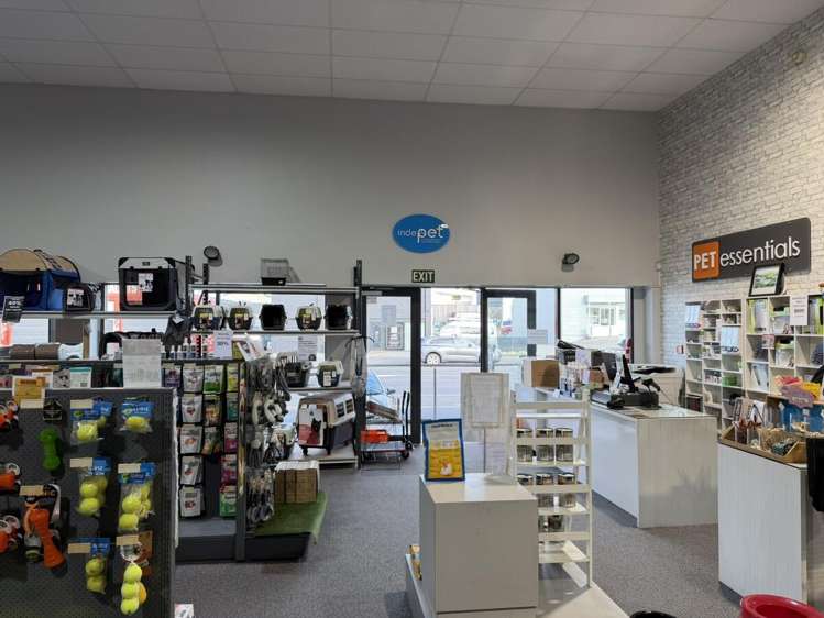 65 Molesworth Street New Plymouth_6