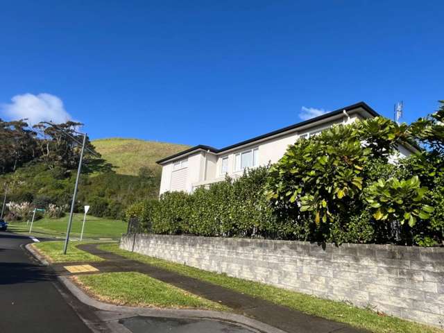 1 Papango Street Stonefields_1