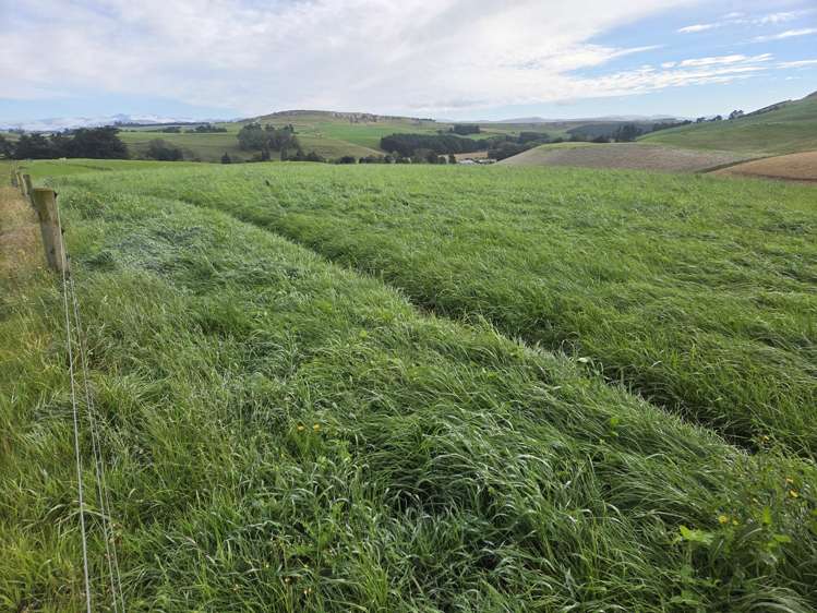 22 Tokarahi-Duntroon Road Tokarahi_13