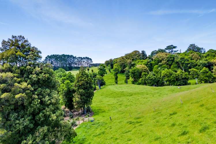 489 Smart Road Hillsborough_32