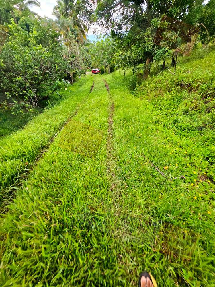 Address withheld Savusavu_10