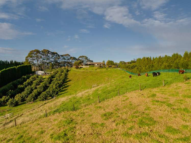24c Pahoia Road Whakamarama_11