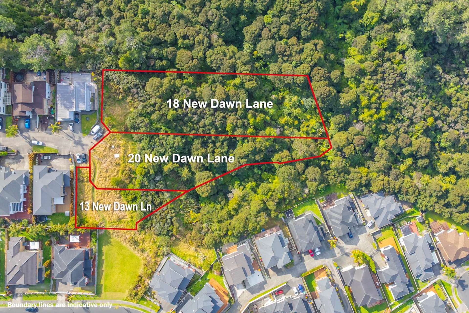 13 New Dawn Lane Albany Heights_0
