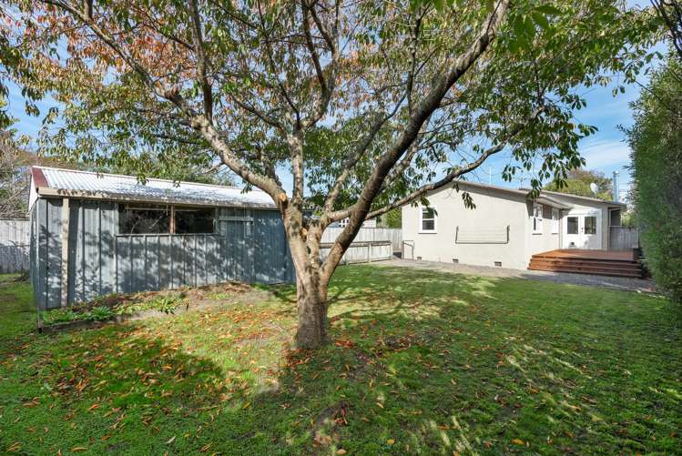 220 Belvedere Road Carterton_20