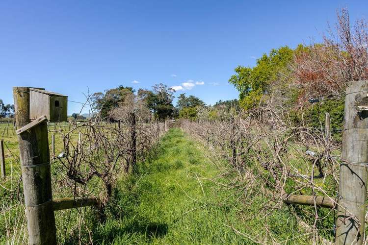 483 Garfield Road Dannevirke_21