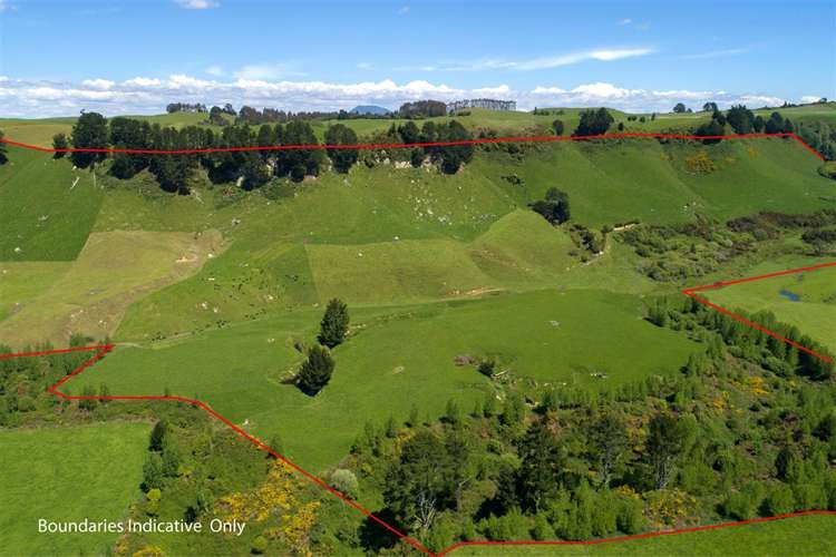 1943 Tutukau Road Wairakei and Surrounds_5