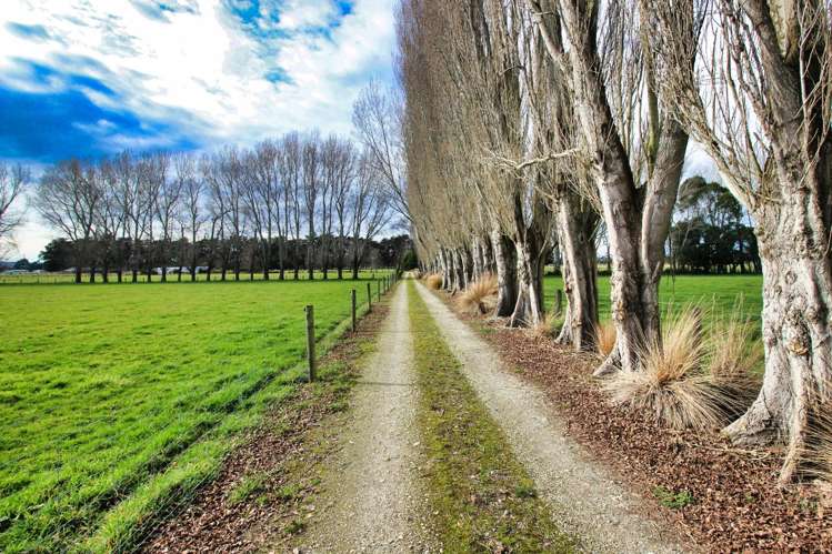 82 Clark Road Edendale_5