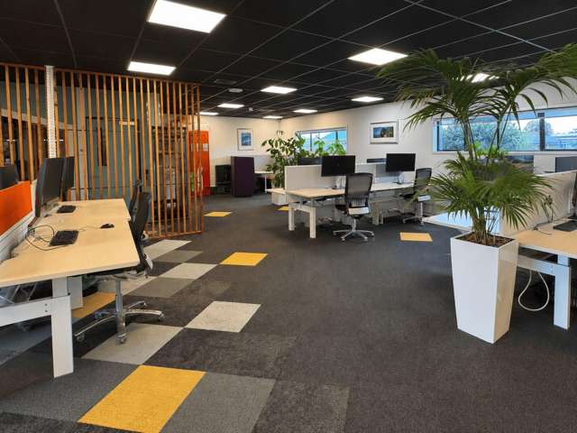 8 Girven Road Mt Maunganui_3
