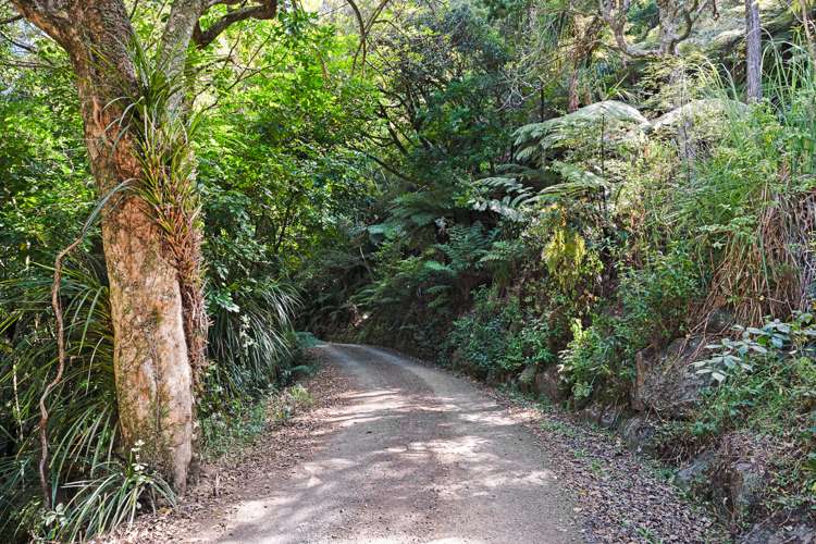 1534 Ngunguru Road Ngunguru_19