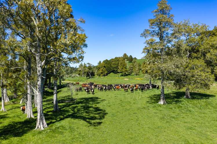 246 Allen and Eyre Road Onewhero_10